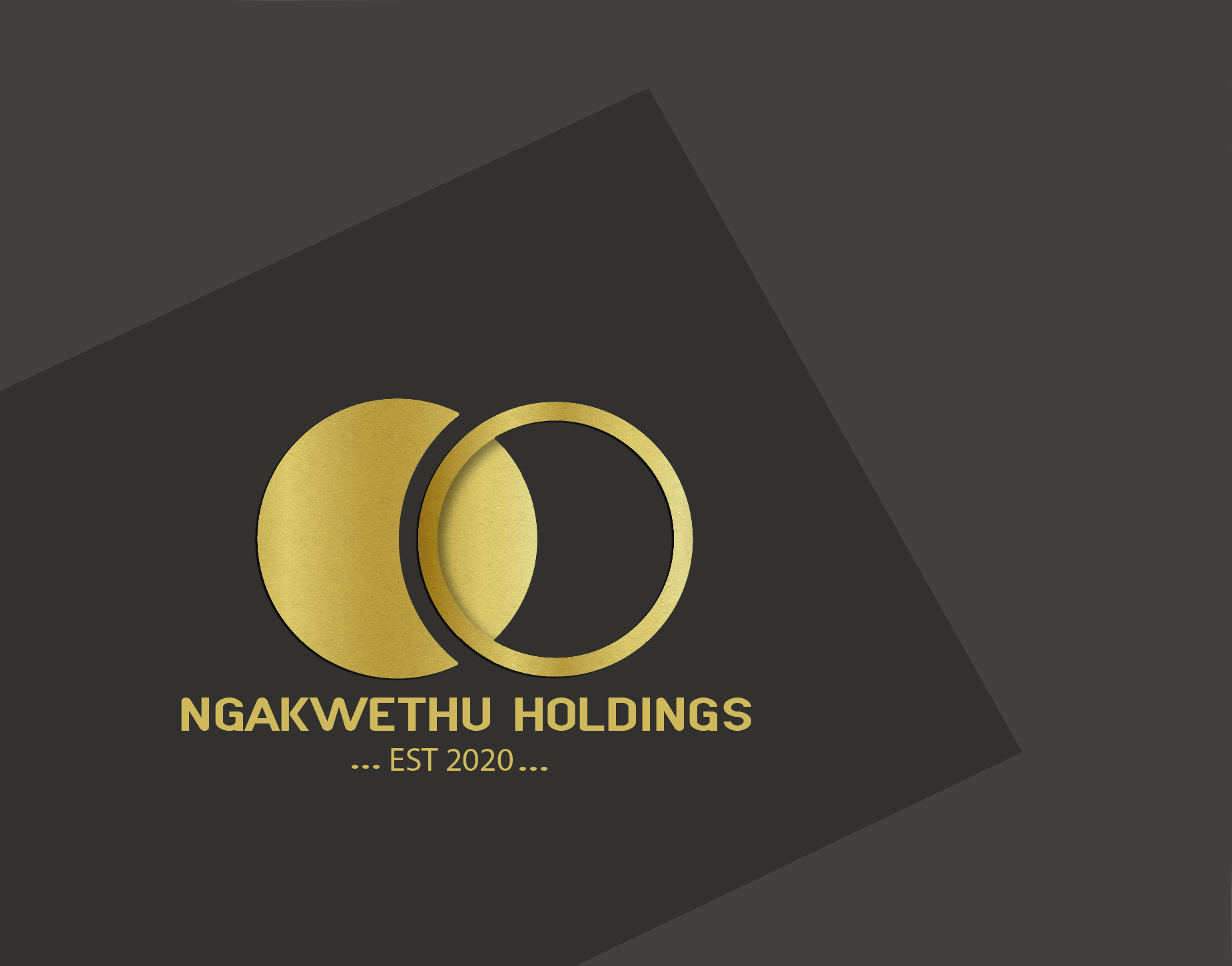 Ngakwethu Holdings Logo