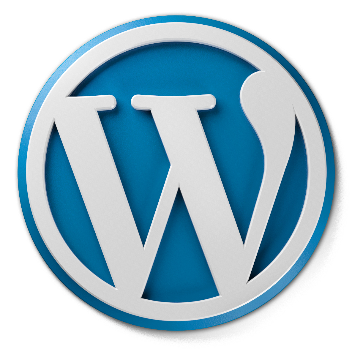 WordPress Content Managment System